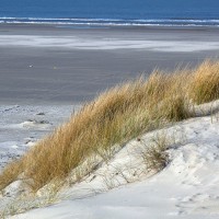 In de Noord-Hollands Duinen kun je nog rust vinden. Even lekker weg uit de hectiek van het dagelijkse leven.