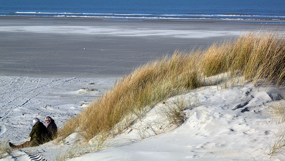 omgeving-slider-waddenzee