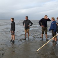 Wadlopen is een unieke en sportieve belevenis in de natuur van het Werelderfgoed Waddenzee. De Waddenzee Wad anders!!