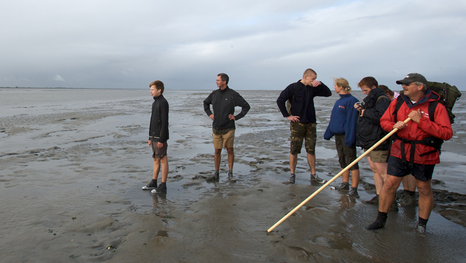 Wadlopen is een unieke en sportieve belevenis in de natuur van het Werelderfgoed Waddenzee. De Waddenzee Wad anders!!